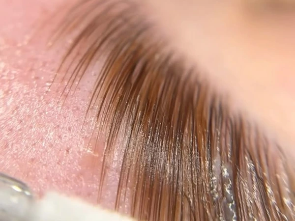 Eyebrow Lamination