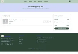 SpaSphere website example 5